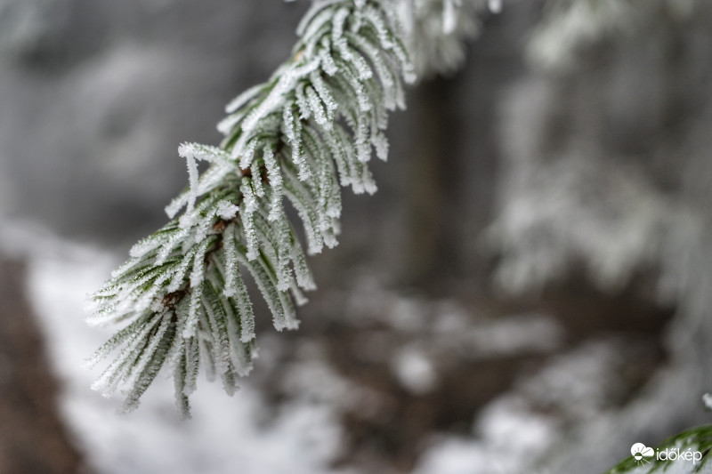 Kőszegi-hegység 2018.01.27.