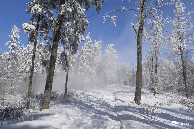Írott-kő Kőszeg 2018.02.24.