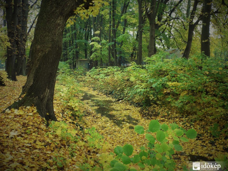 Kőszegi Ősz 2015.10.29.