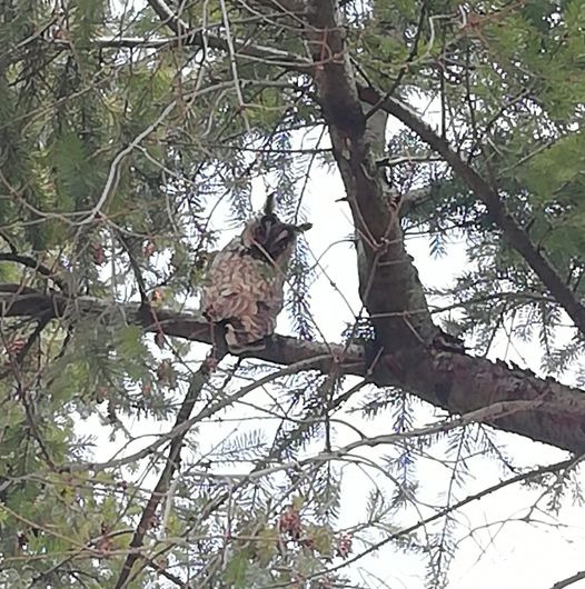 Látlak,hogy fotózol !