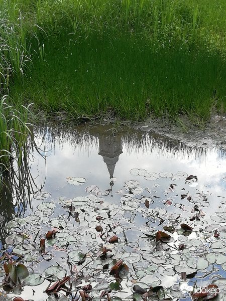Tiszakürti arborétumban