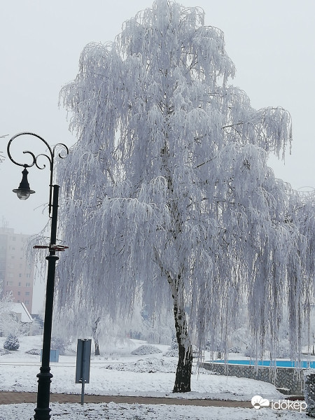 2020.01,17Tiszaújváros