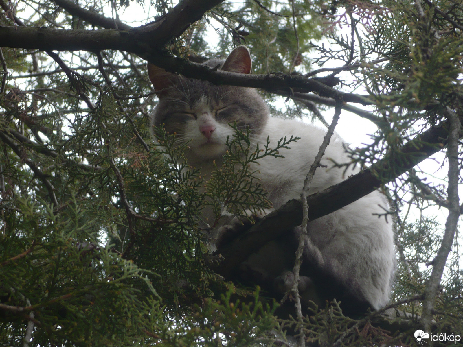 Fent nyugodtan alhatok !