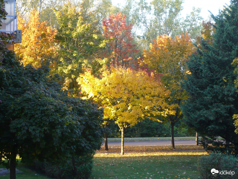 Tiszaújváros