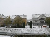 falconsag fotója