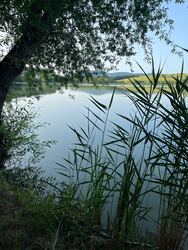 Nőtincs