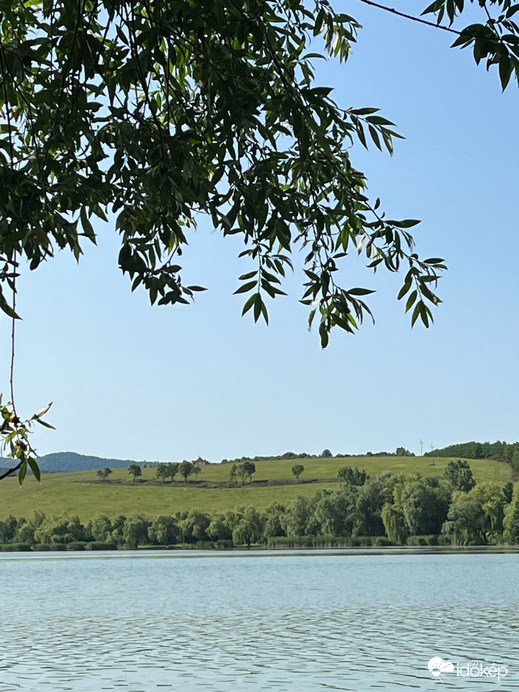 Nőtincs