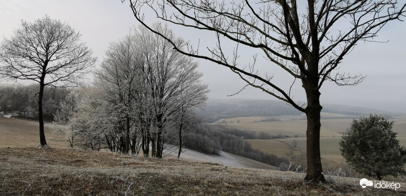 Bakonyi táj