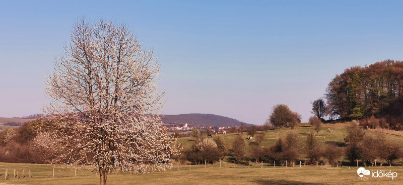 Bakonyi panoráma