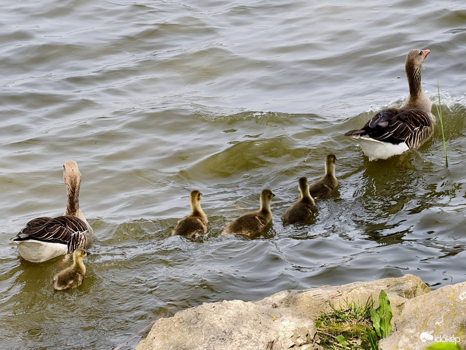 Kettős védelemben... 