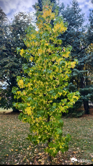 Nagykanizsa