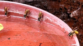 Itatás - az elmúlt nyáron. 