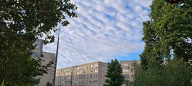 Szigetszentmiklós