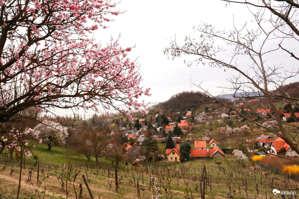 Csodás 