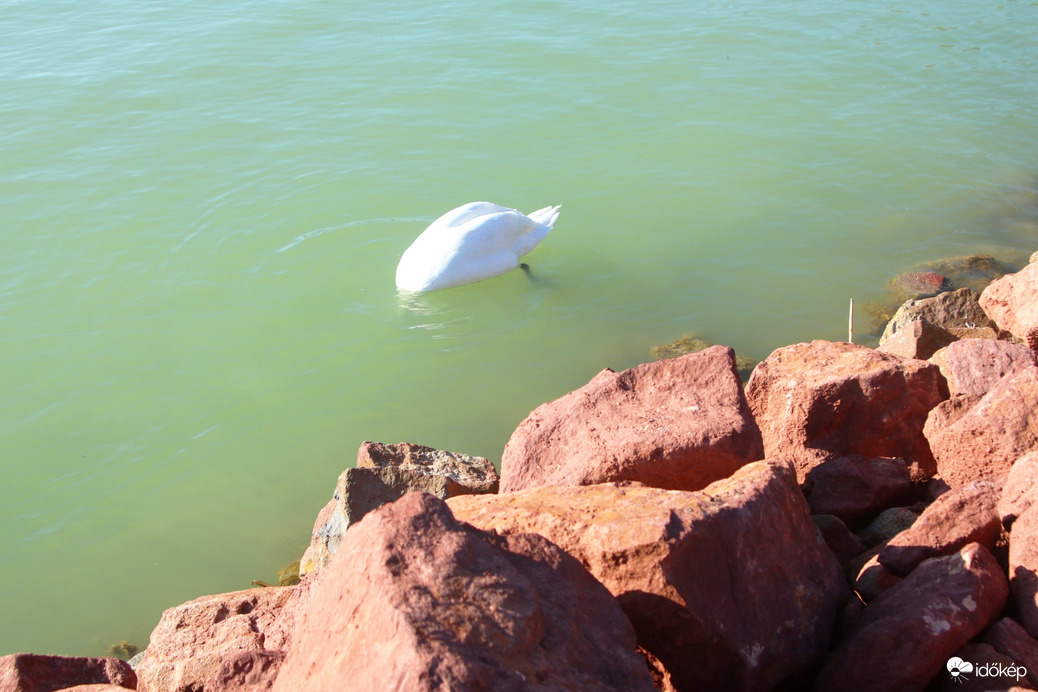 Csak találok valamit!