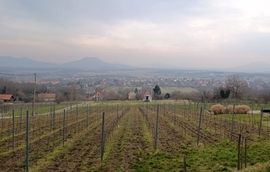 Felhős, párás délidő!