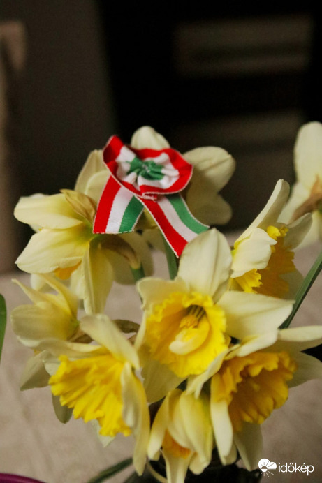 Nárcisz csokor!