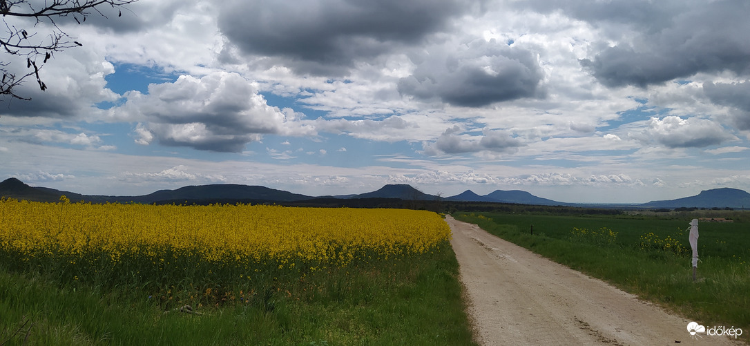 Repcemező