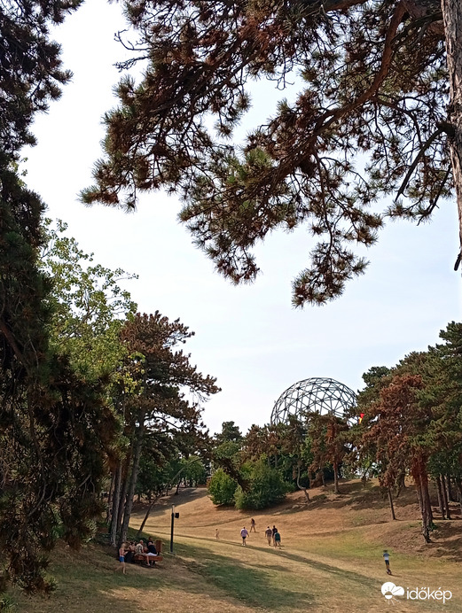 Boglári lombkorona sétányon!