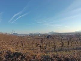 Délutáni séta a hegyen!