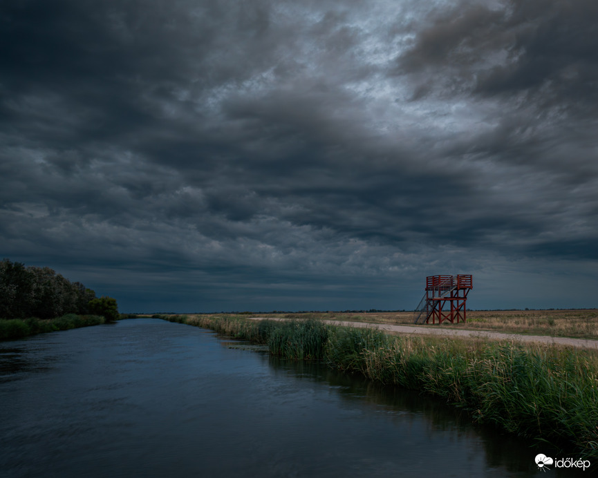 Madárles a nyugtalanság határán 