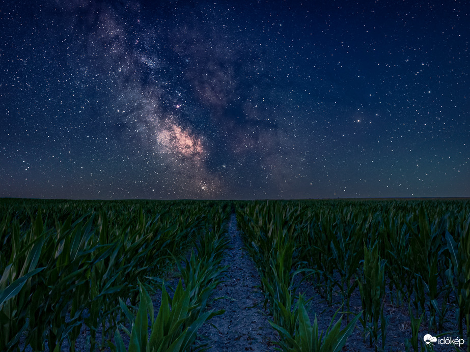 A Tejúthoz vezető ösvény 