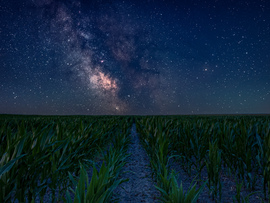 A Tejúthoz vezető ösvény 