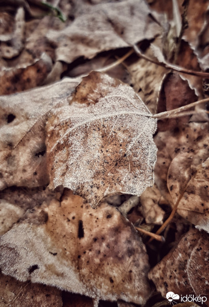 Budapest IV.ker - Káposztásmegyer