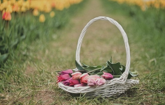 Budapest IV.ker - Újpest