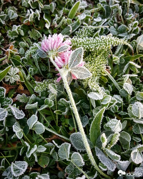 Budapest IV.ker - Káposztásmegyer