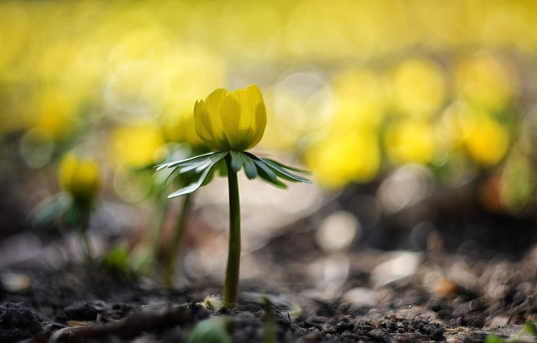 Budapest IV.ker - Újpest