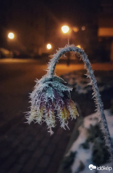 Budapest IV.ker - Újpest