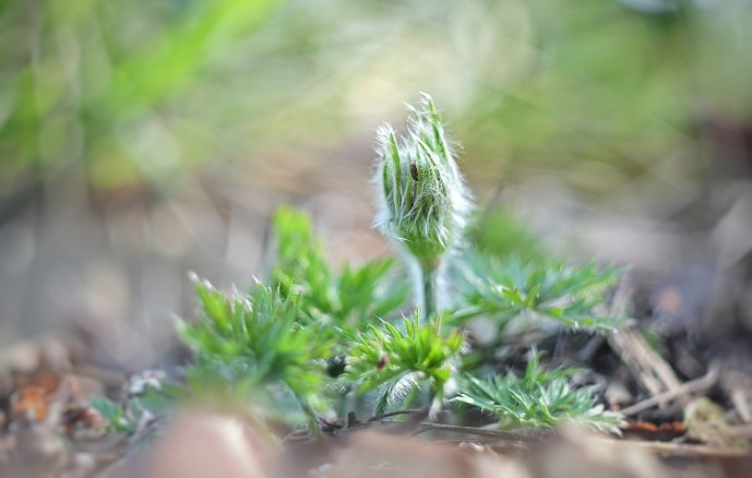 Budapest IV.ker - Újpest