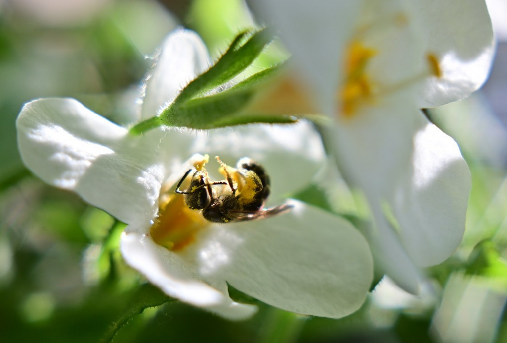 Budapest IV.ker - Újpest