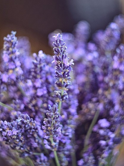 Budapest IV.ker - Újpest