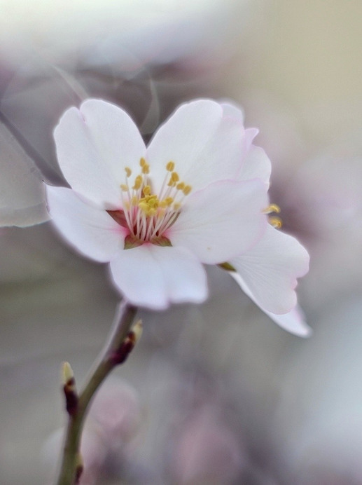 Budapest IV.ker - Újpest