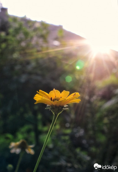 Budapest IV.ker - Káposztásmegyer