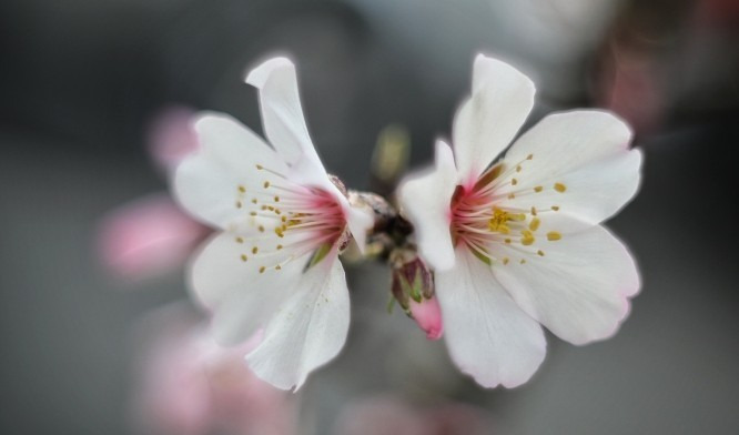 Budapest IV.ker - Újpest