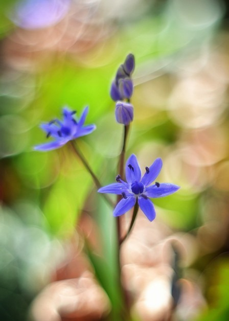 Budapest IV.ker - Újpest