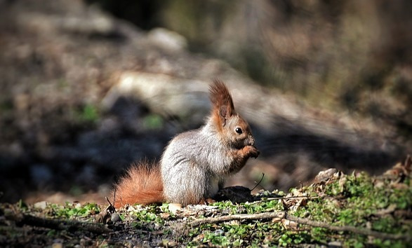 Budapest IV.ker - Újpest