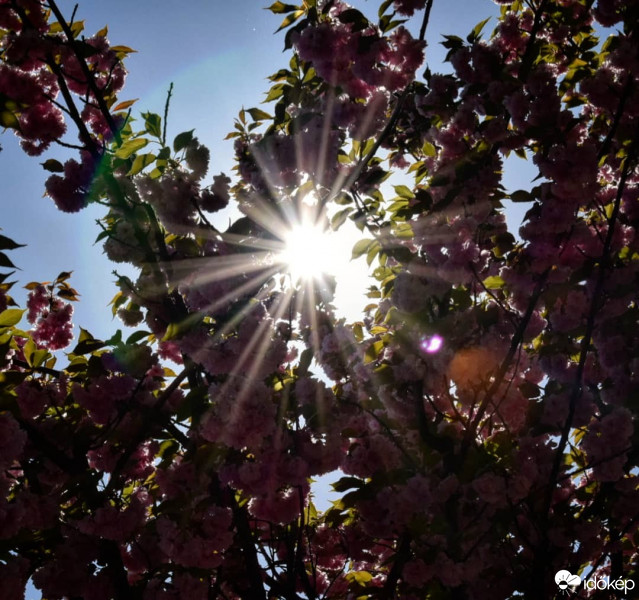 Budapest IV.ker - Káposztásmegyer