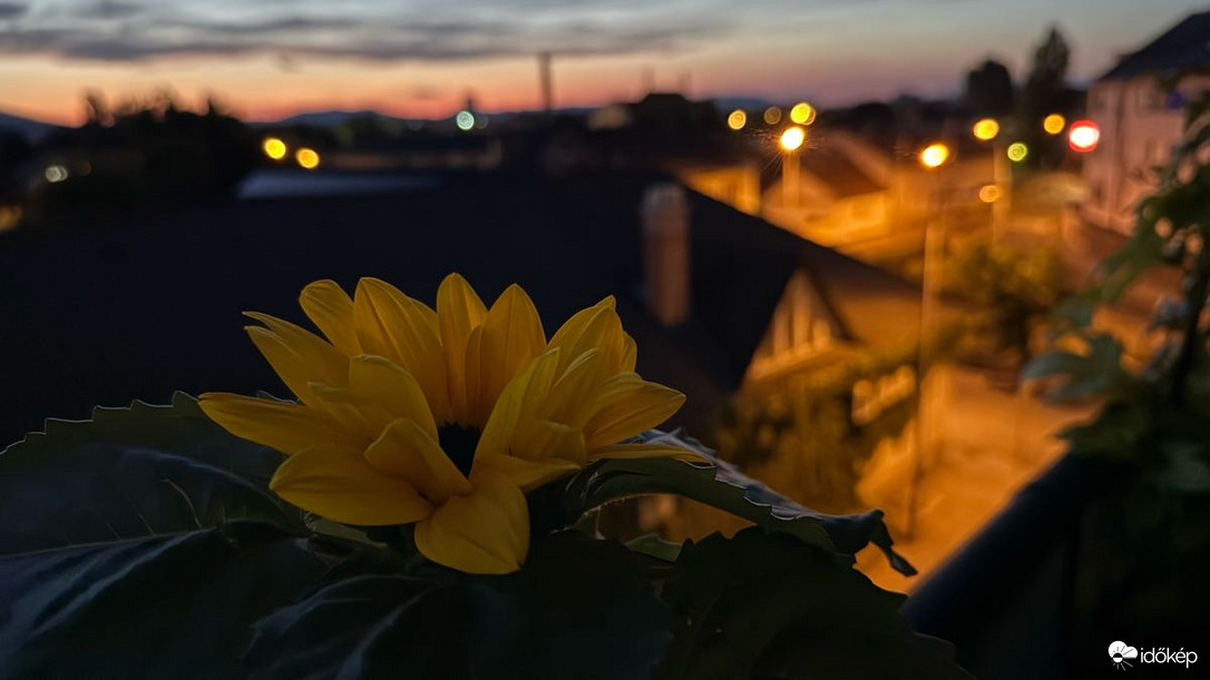 Budapest IV.ker - Újpest