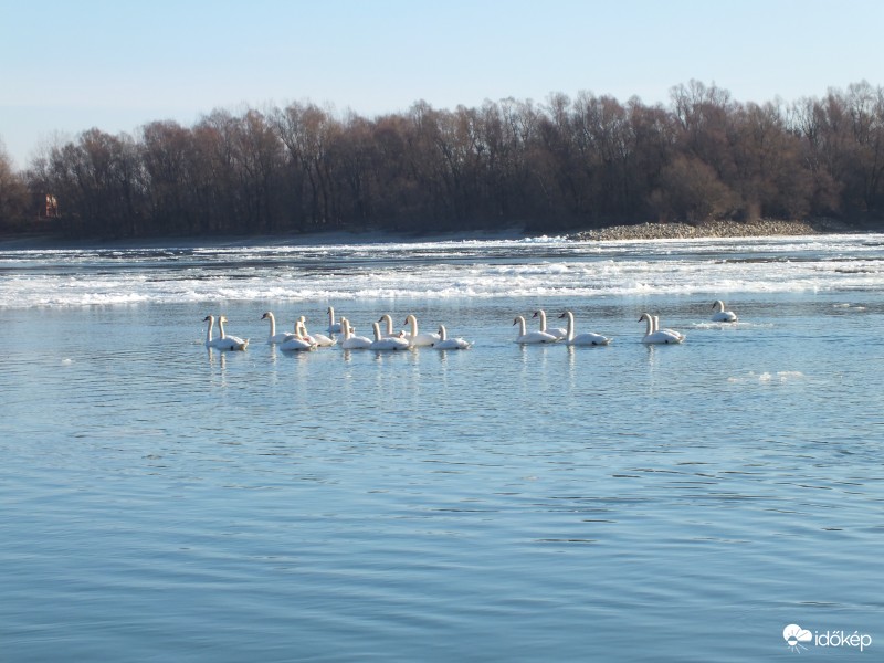 Jégzajlás a Dunán Domborinál9