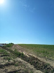 Babócsa