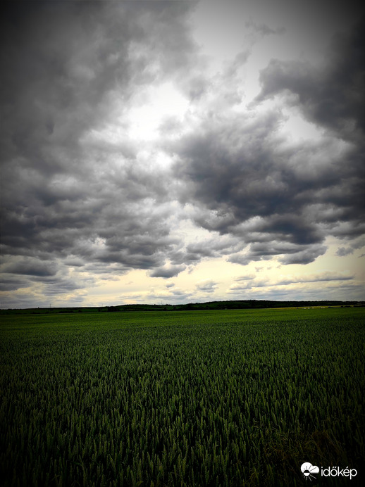 Felhők gyülekezete