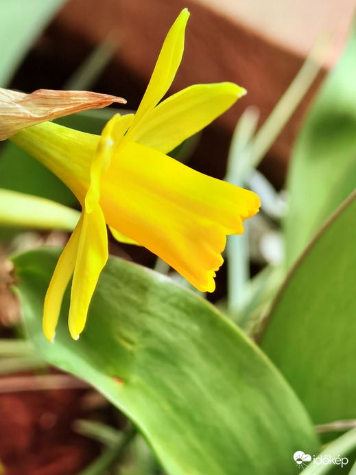 A nagy kedvenc profilból