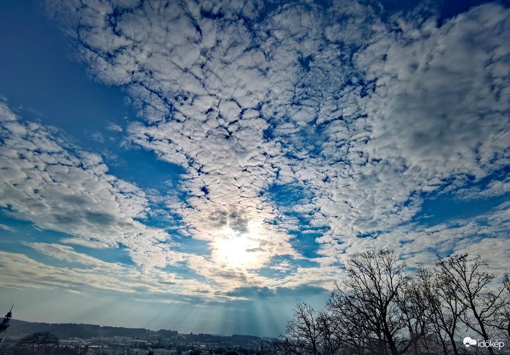 Ma egész nap legelnek a bárányok... 