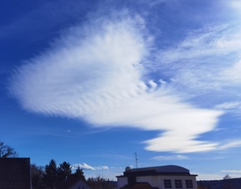 Altocumulus lenticularis