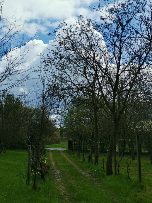 Balatonrendes