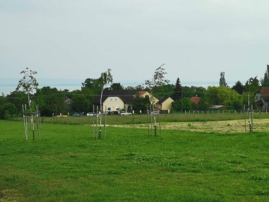Balatonrendes